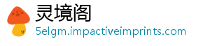 共态以产业链建设享生出海-灵境阁